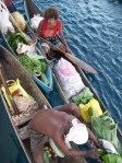 Solomons vegetable canoes